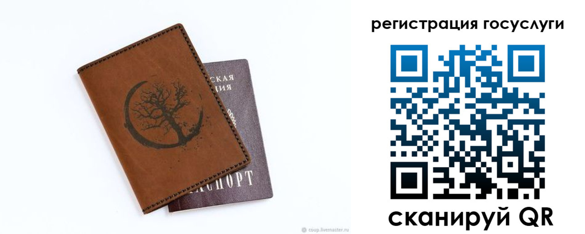 прописка для школы в Псковской области